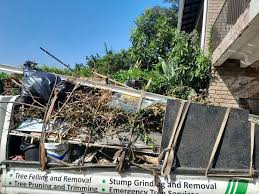 Best Retail Junk Removal  in Edina, MN